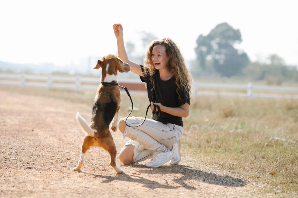 pexels photo 7210458 Full body optimistic young female with curly hair smiling and teaching Beagle dog beg command on sunny summer day in countryside